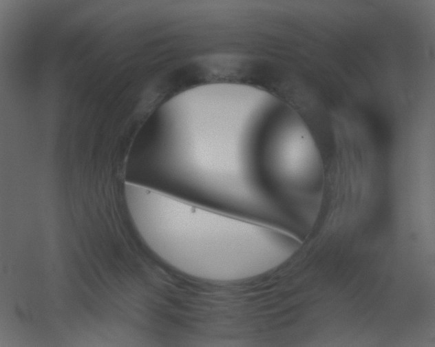 X0000051910079200506241454