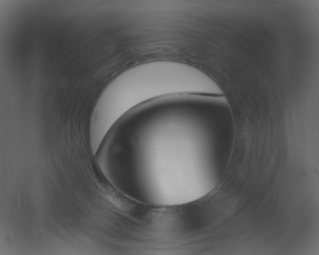 X0000051910082200506241454