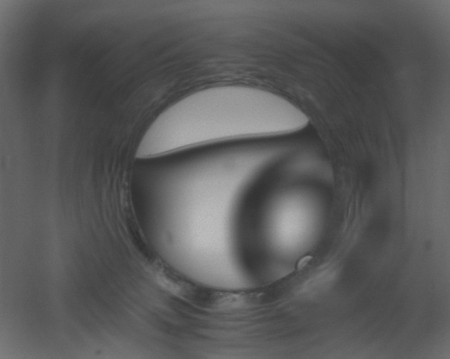 X0000051910083200506241454