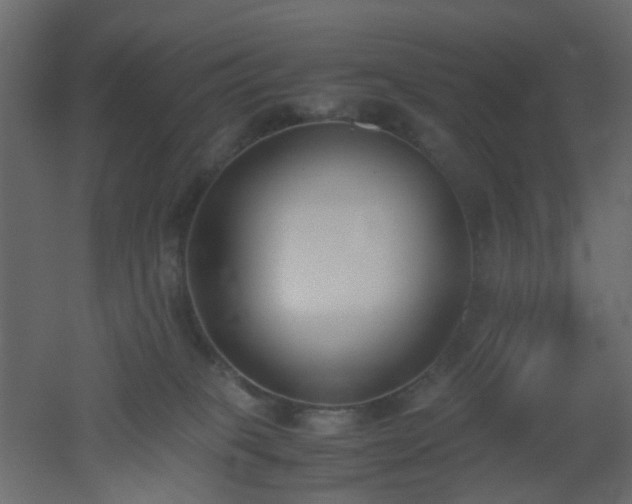 X0000051910085200506241454