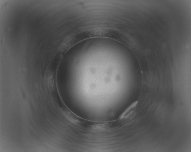 X0000051910086200506241454