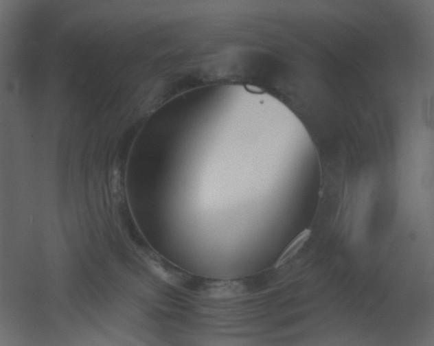 X0000051910087200506241454