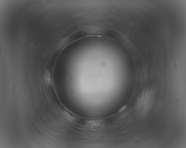 X0000051910089200506241454