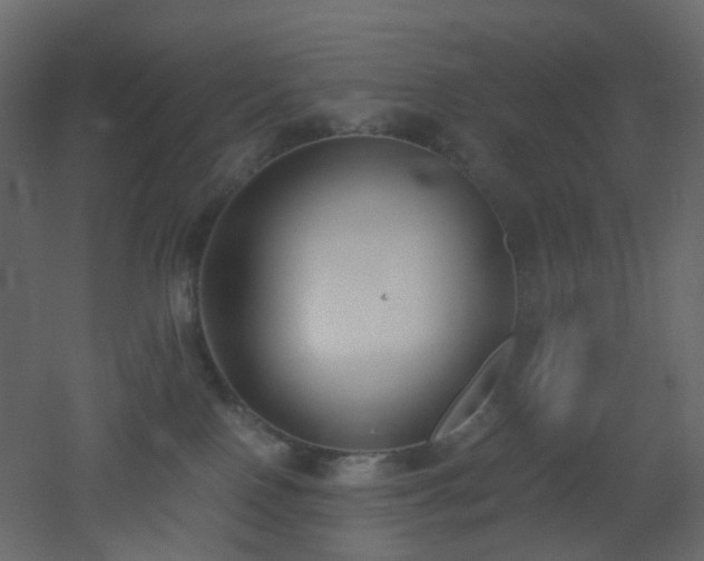 X0000051910090200506241454