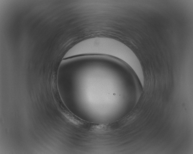 X0000051910092200506241454