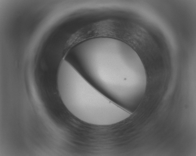 X0000051910093200506241454