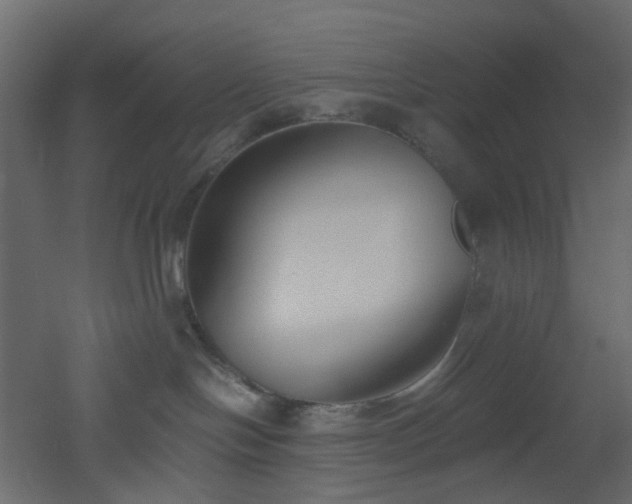 X0000051910094200506241454