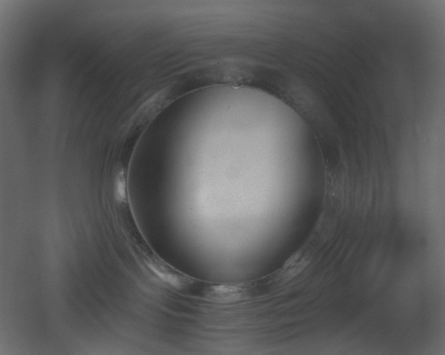 X0000051910095200506241454