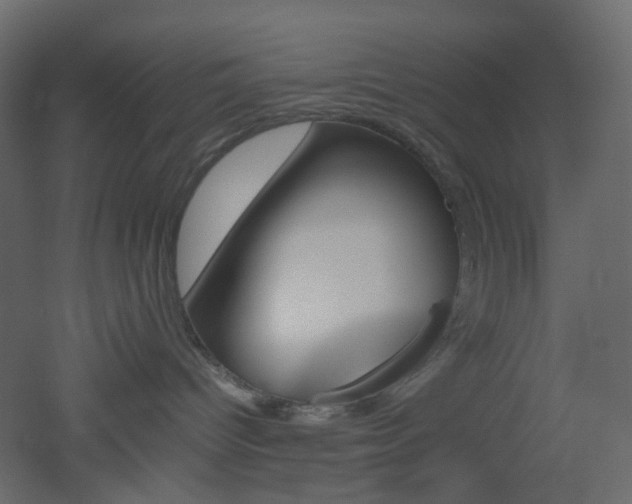 X0000051910096200506241454