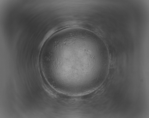 X0000051910099200506241453