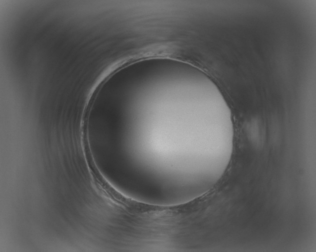 X0000051910100200506241453