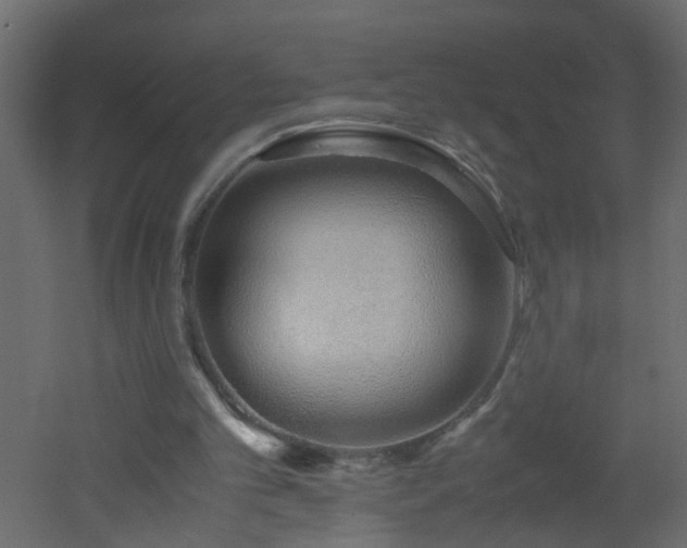 X0000051910101200506241453