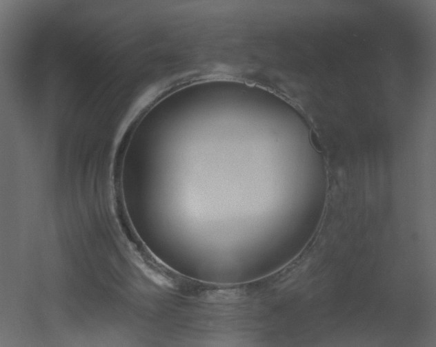 X0000051910102200506241453