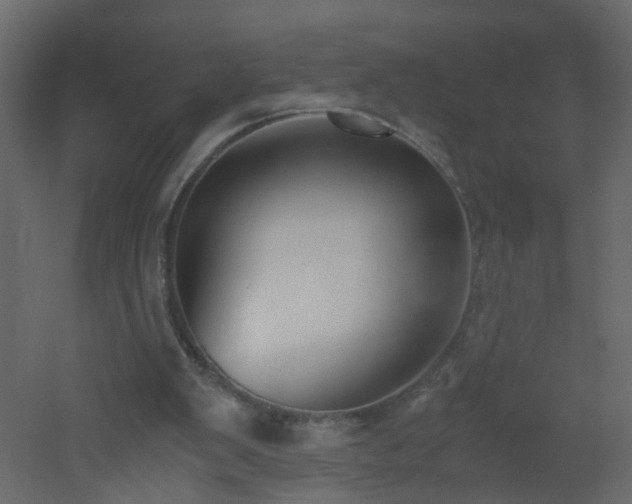 X0000051910103200506241453