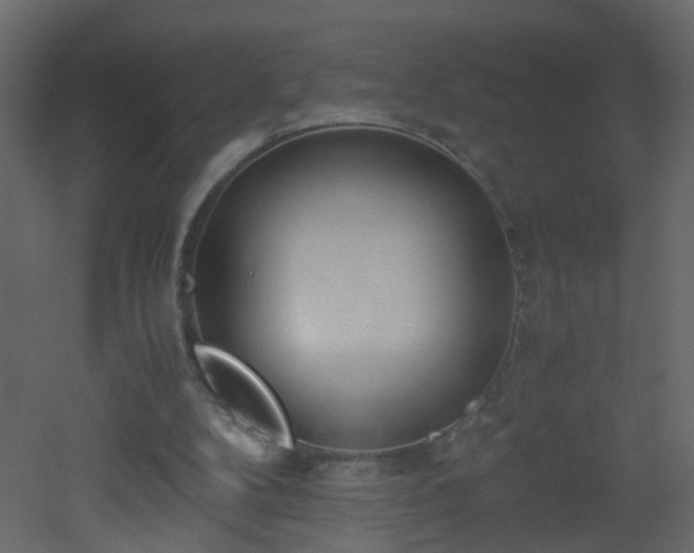 X0000051910104200506241453