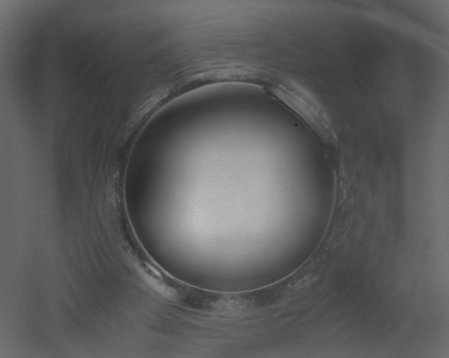 X0000051910105200506241453