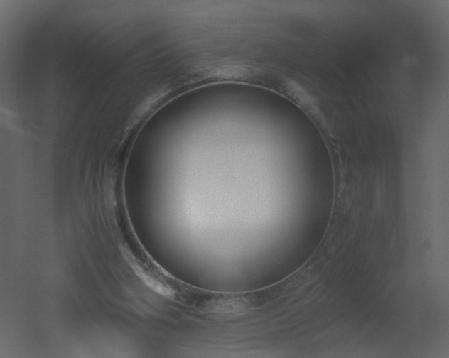 X0000051910106200506241453