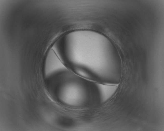 X0000051910107200506241453