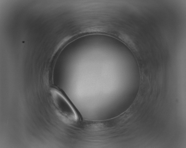 X0000051910108200506241453