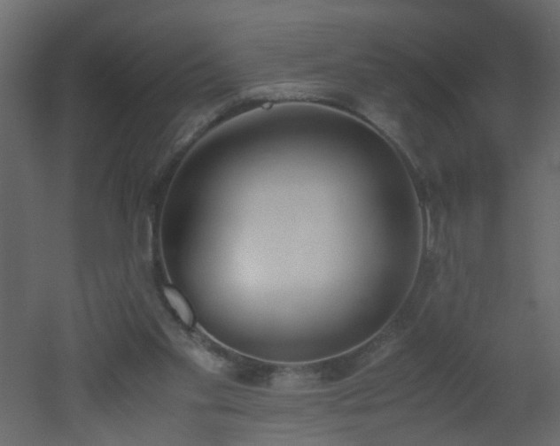 X0000051910109200506241453