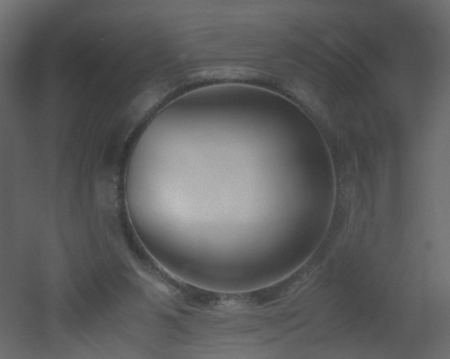 X0000051910111200506241453