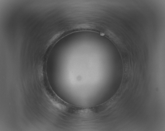 X0000051910112200506241453