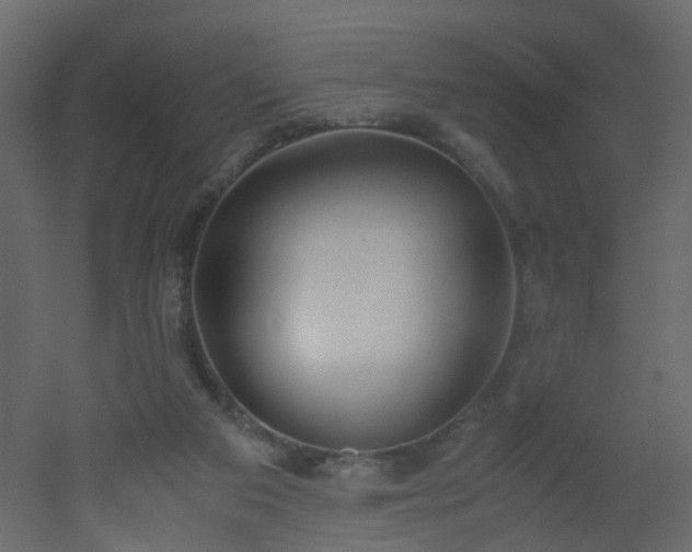 X0000051910113200506241453