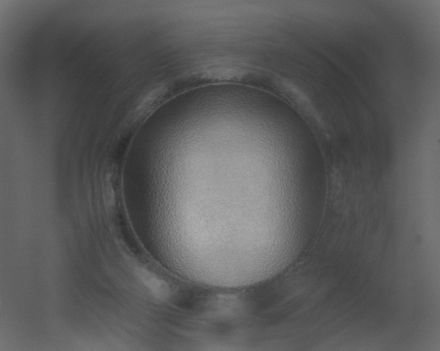 X0000051910114200506241453