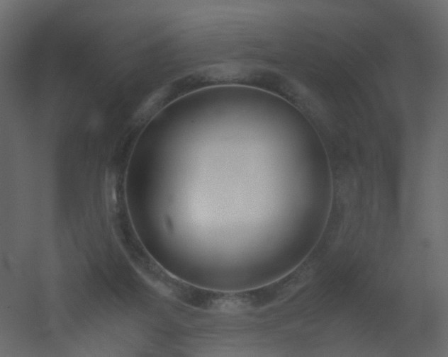 X0000051910115200506241453