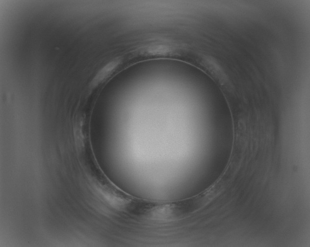 X0000051910116200506241453