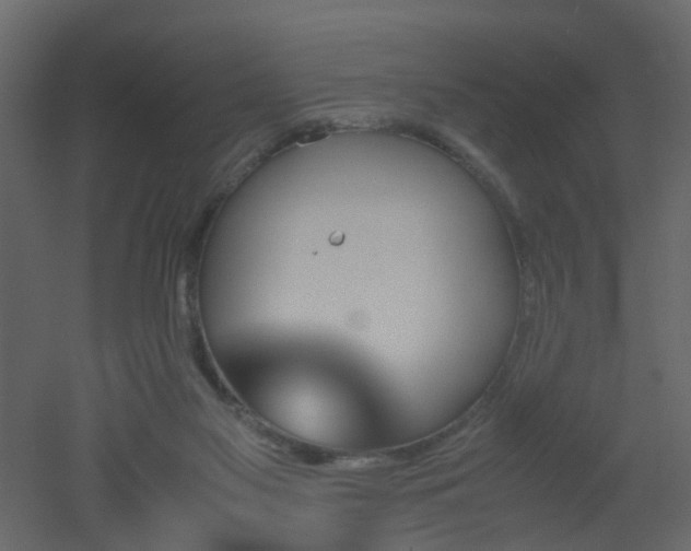 X0000051910117200506241453