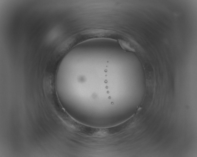 X0000051910119200506241453