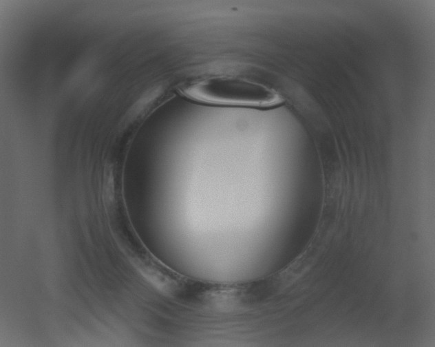 X0000051910120200506241453