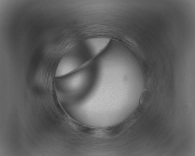 X0000051910121200506241453