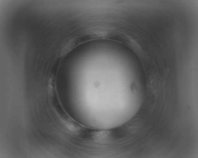 X0000051910122200506241453