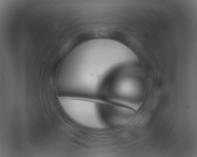 X0000051910123200506241453