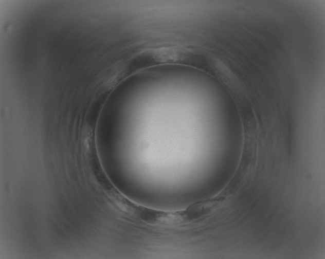 X0000051910125200506241453