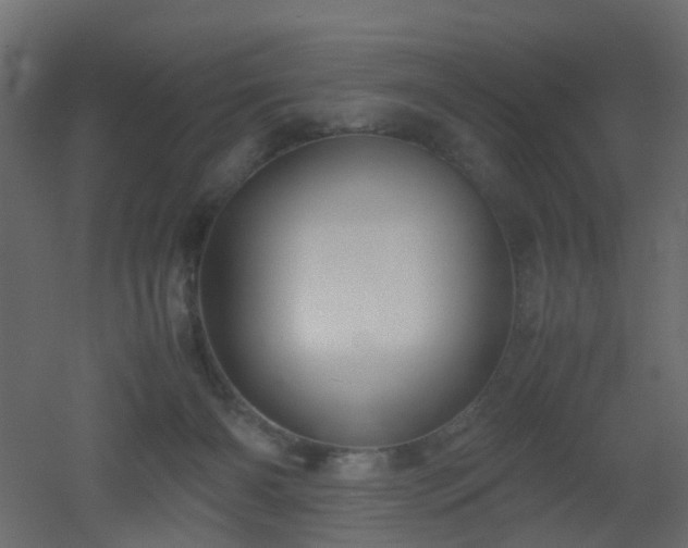 X0000051910126200506241453