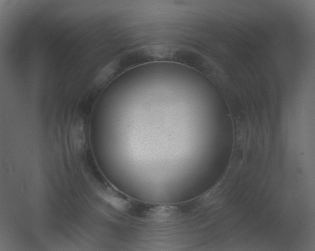 X0000051910128200506241453