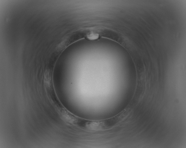 X0000051910129200506241453