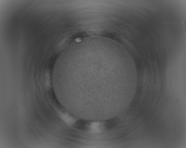 X0000051910130200506241453