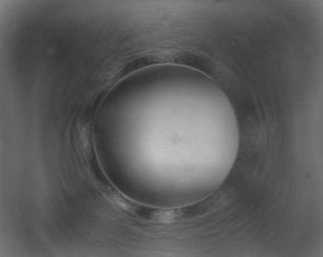 X0000051910131200506241453