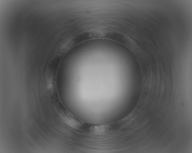 X0000051910134200506241453