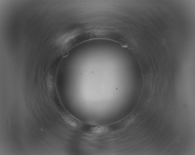 X0000051910135200506241453