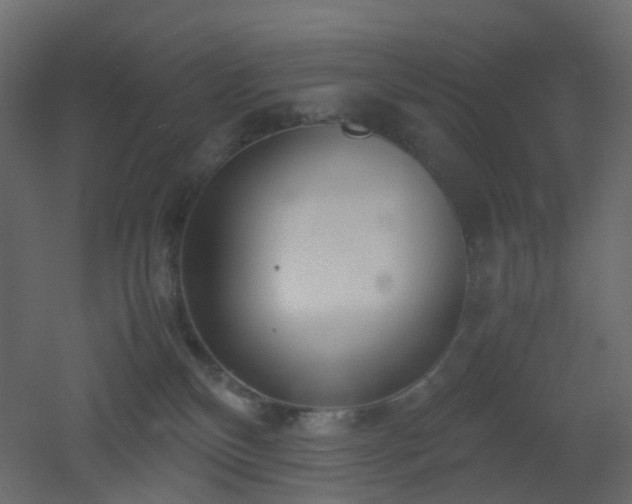 X0000051910136200506241453