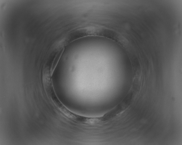 X0000051910137200506241453