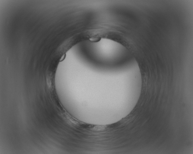 X0000051910138200506241453