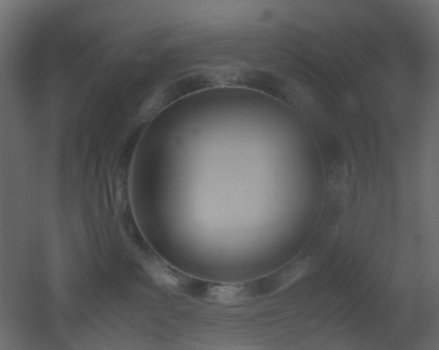 X0000051910139200506241453