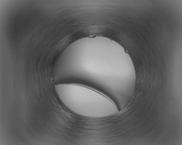 X0000051910140200506241453