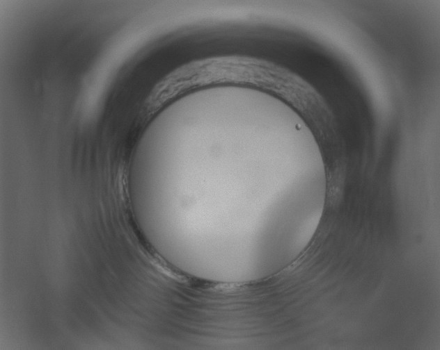 X0000051910142200506241452